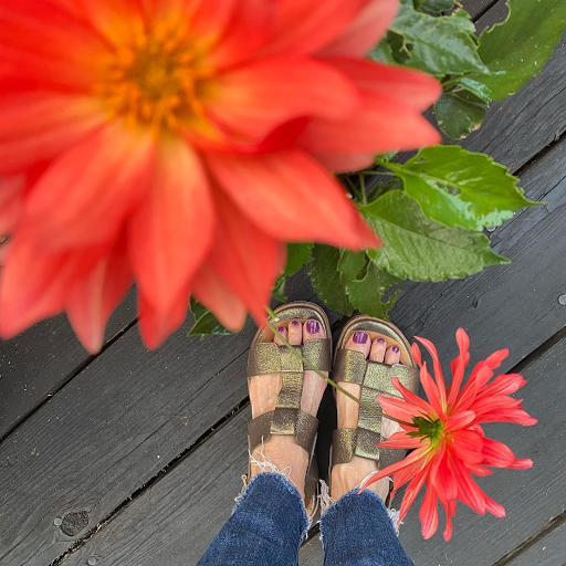 Shoe Store «Rainsong Shoes», reviews and photos, 117 Plaza St, Healdsburg, CA 95448, USA