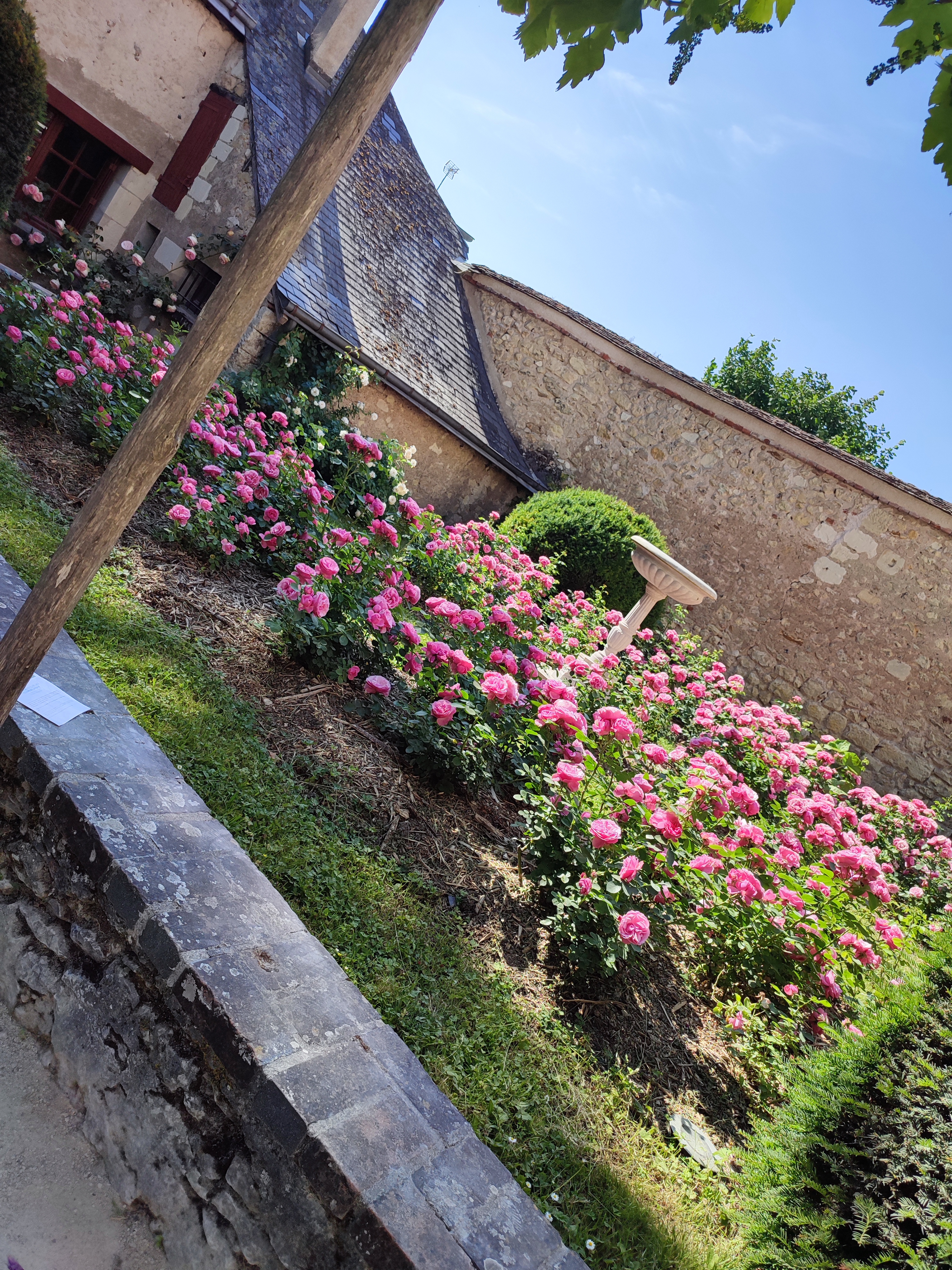 Photo n° 26 de l'avis de nina.a fait le 05/06/2023 à 14:46