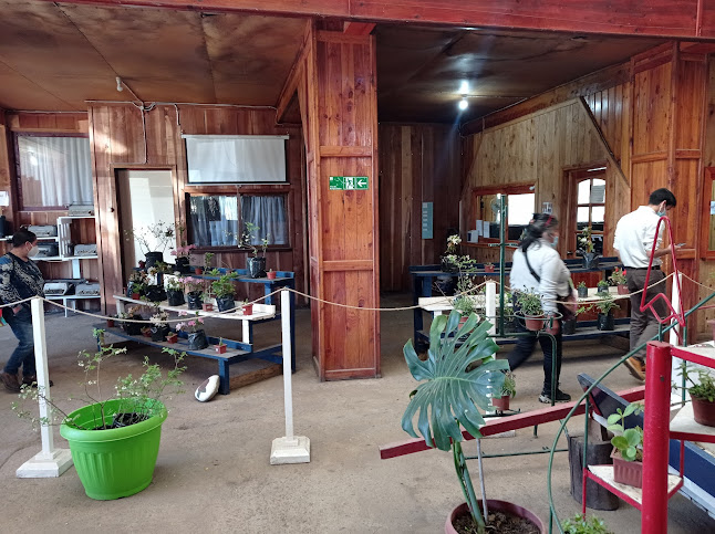 Opiniones de Vivero el Vergel en Angol - Centro de jardinería