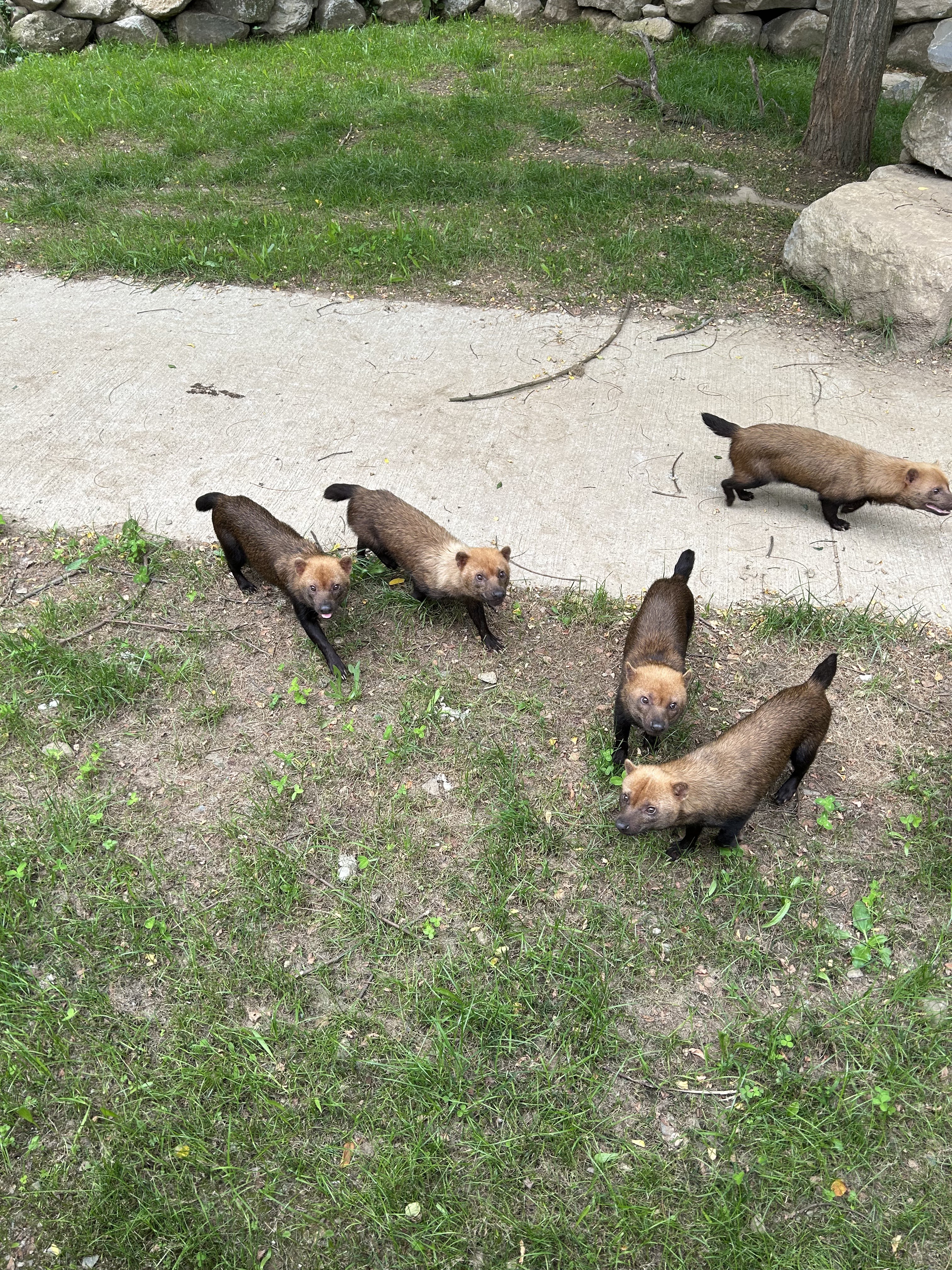 Photo n° 3 de l'avis de Aurélie.e fait le 30/07/2023 à 19:08