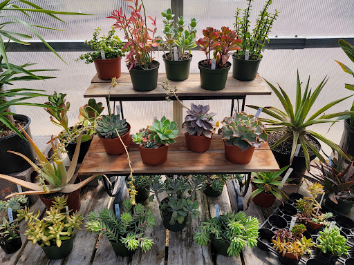 Florist «Platte Floral», reviews and photos, 1417 E Platte Ave, Colorado Springs, CO 80909, USA