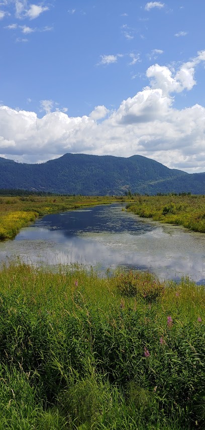 Quarry Slough