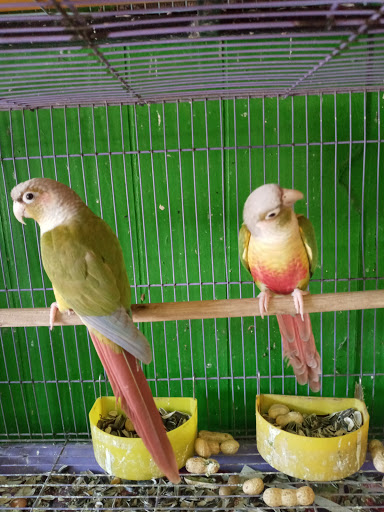 Pet Store «Inez Pet Shop», reviews and photos, 3825 Whittier Blvd, Los Angeles, CA 90023, USA