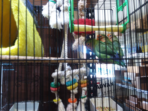 Pet Store «Pet Advantage», reviews and photos, 350 Dorset St # 1, South Burlington, VT 05403, USA
