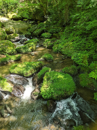 巴川の甌穴