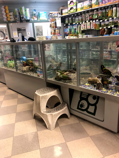 Pet Store «Petland Las Vegas», reviews and photos, 8800 W Charleston Blvd #3, Las Vegas, NV 89145, USA