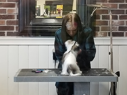 Pet Store «Market Street PET DEPOT», reviews and photos, 2979 S Market St, Gilbert, AZ 85295, USA