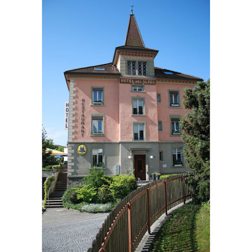 Hotel des Alpes - Hotel