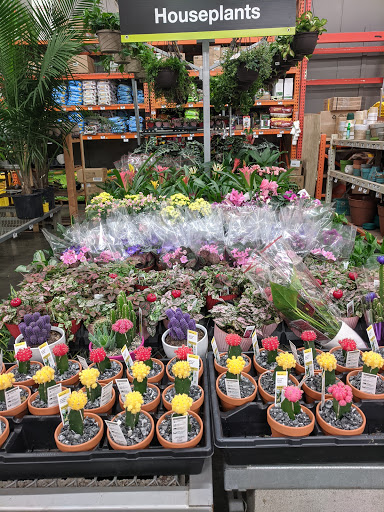 Home Improvement Store «The Home Depot», reviews and photos, 545 Targee St, Staten Island, NY 10304, USA