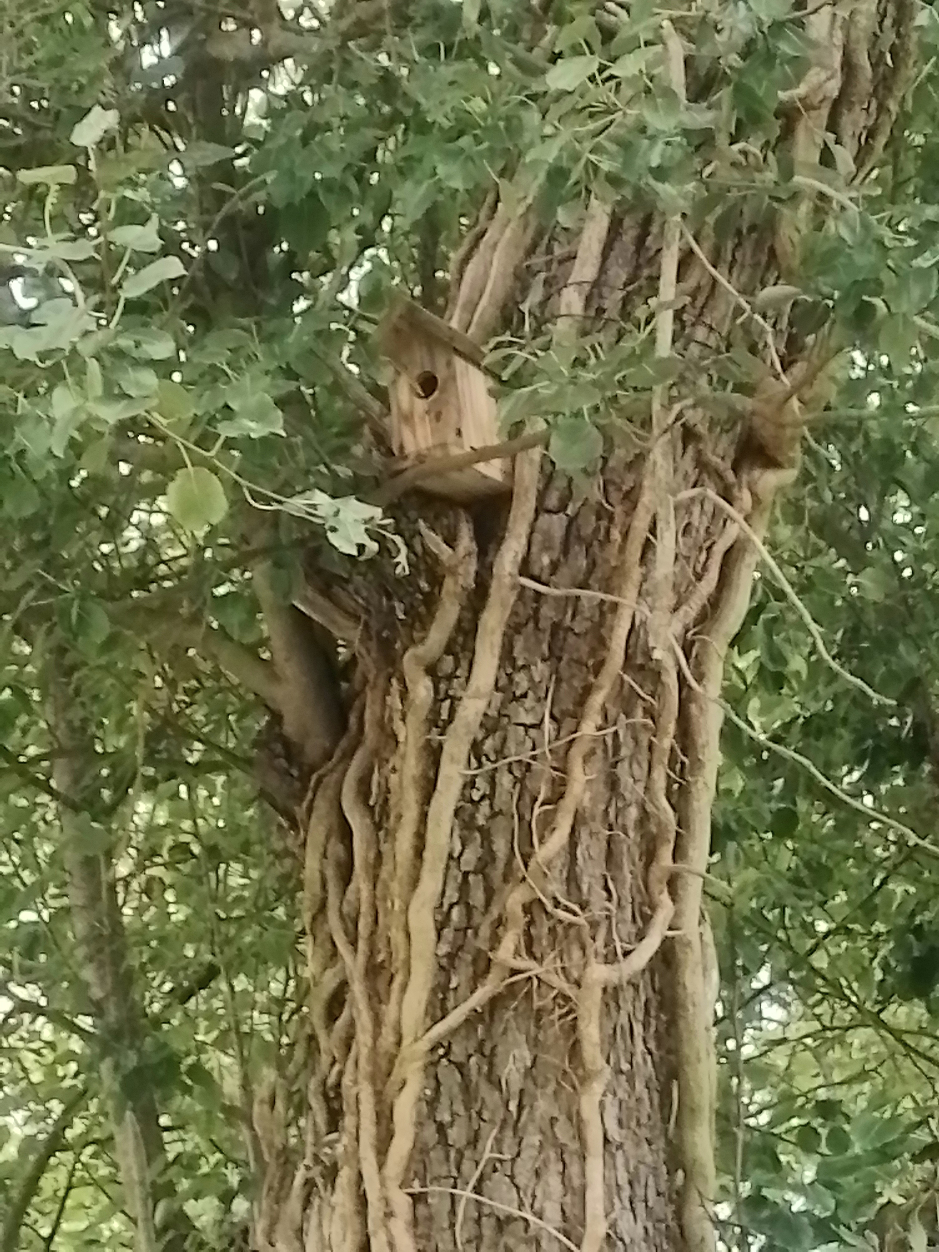 Photo n° 6 de l'avis de Martine.i fait le 27/08/2023 à 16:02