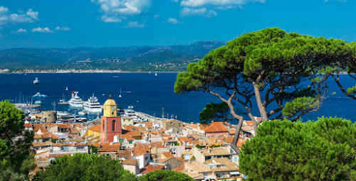 Agence Immobilière - Les Terres d'Azur à Cogolin