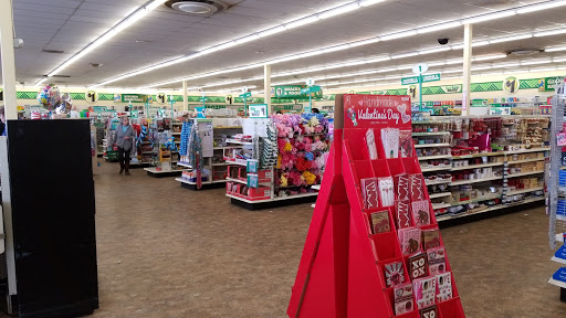 Dollar Store «Dollar Tree», reviews and photos, 2900 W 10th St, Greeley, CO 80634, USA