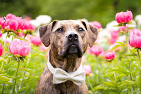 Heather Huffman Photography - Photo 1 - Car repair in , Lexington