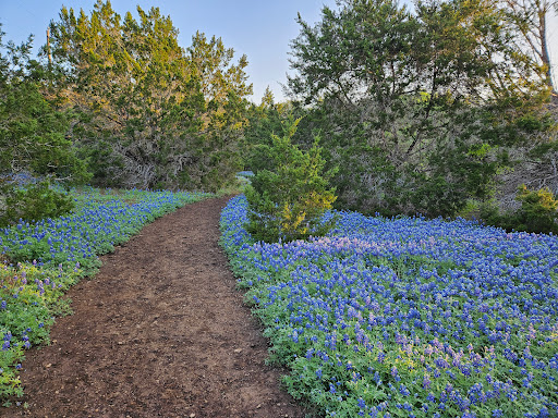 St. Edward’s Greenbelt