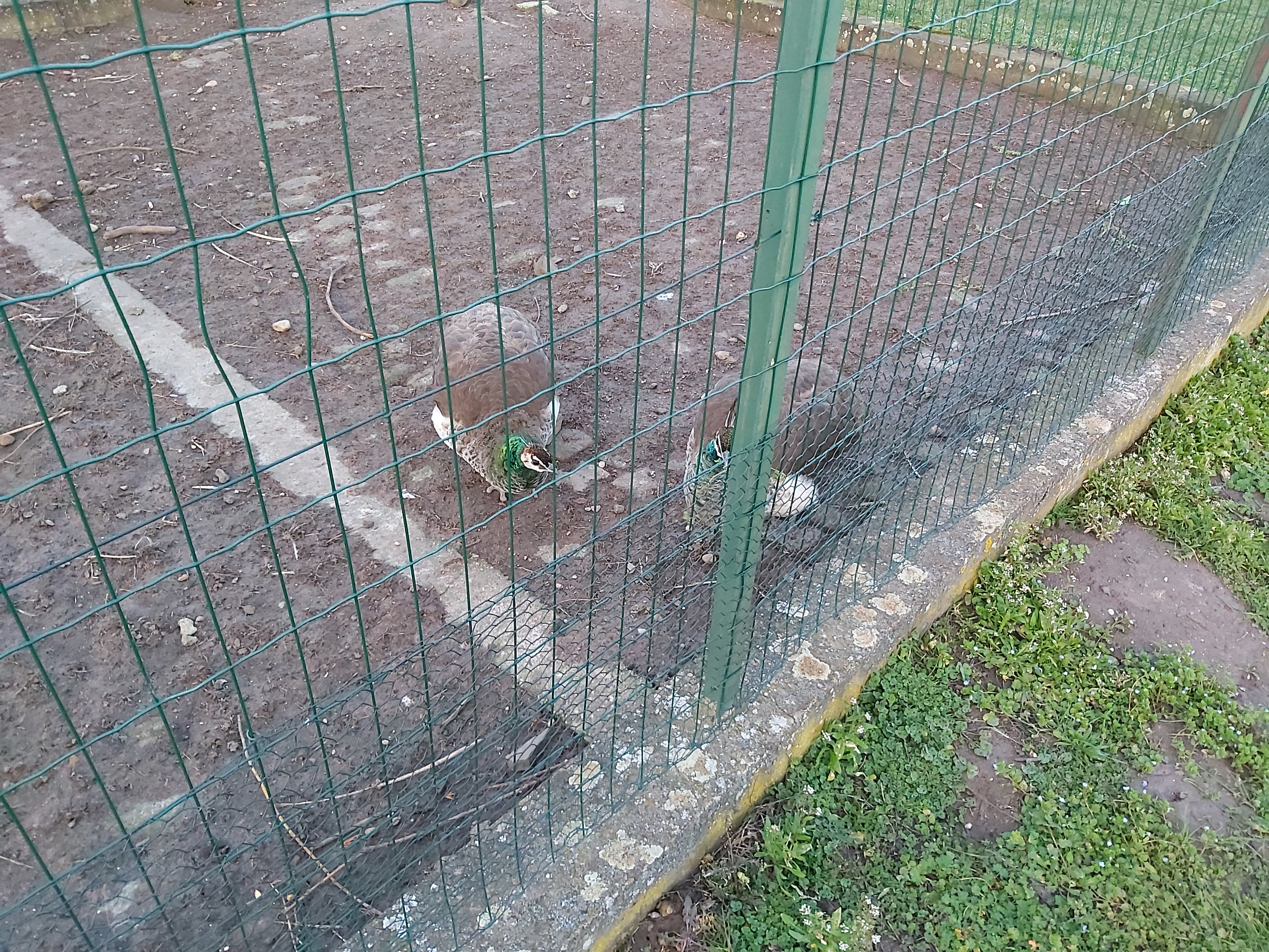 Photo n° 1 de l'avis de Adr67. fait le 15/02/2020 à 16:44