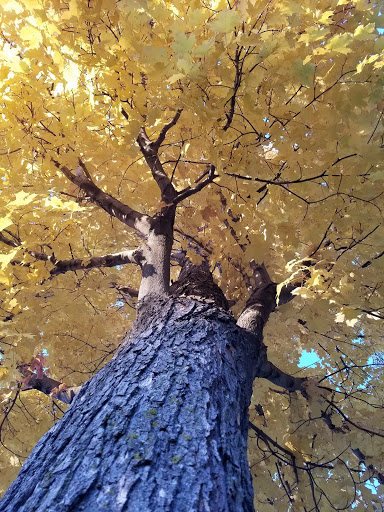 Park «Coon Rapids Dam Regional Park», reviews and photos, 9750 Egret Blvd NW, Coon Rapids, MN 55433, USA