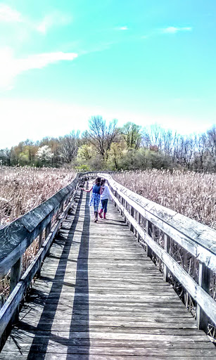 Pet Groomer «Fairview Pet Center», reviews and photos, 1451 S M 52, Owosso, MI 48867, USA