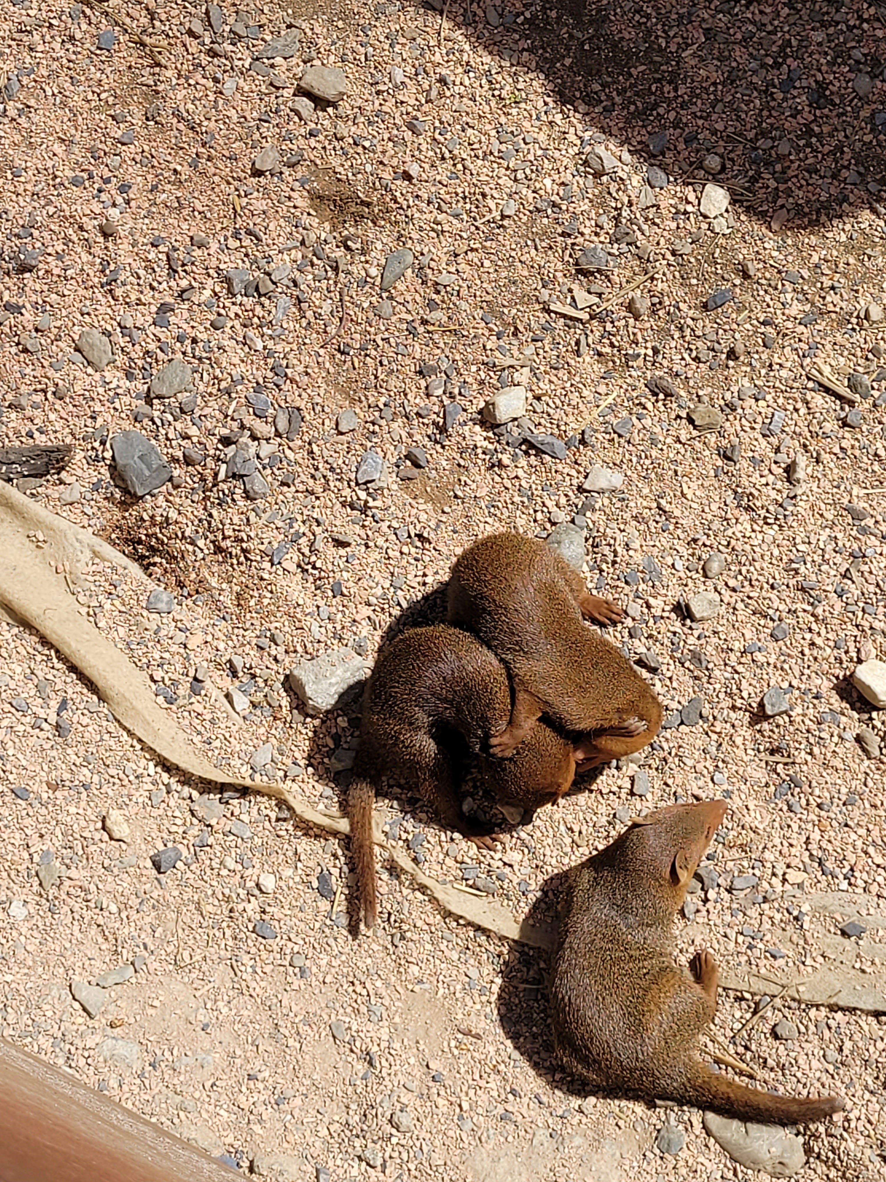 Photo n° 1 de l'avis de krystalita.t fait le 06/05/2023 à 15:24