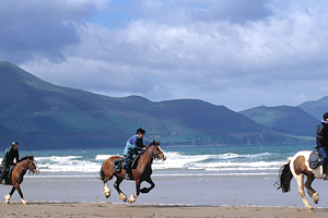 Killarney Riding Stables image