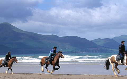 Killarney Riding Stables image
