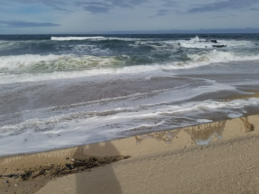 Convenience Store «7-Eleven», reviews and photos, 801 Ocean Ave, Belmar, NJ 07719, USA