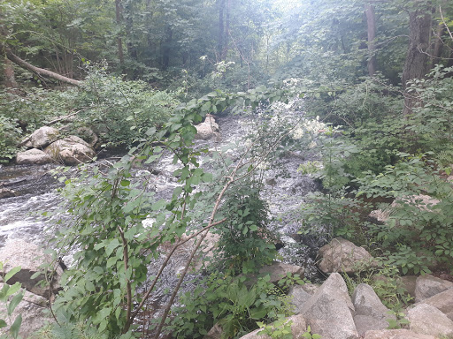 Non-Profit Organization «Museum of American Bird Art at Mass Audubon», reviews and photos, 963 Washington St, Canton, MA 02021, USA