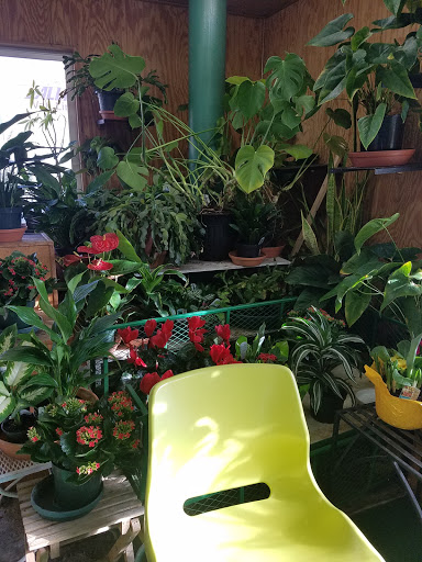 Florist «Rose Corner Florist», reviews and photos, 10901 Aurora Ave N, Seattle, WA 98133, USA