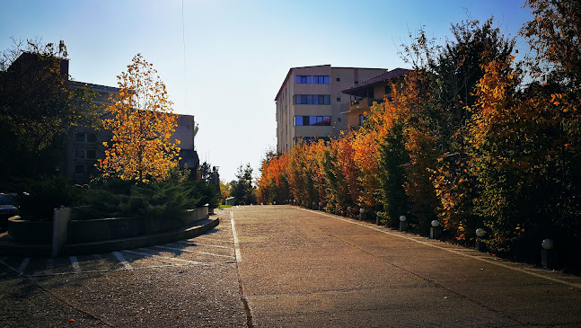 Spitalul Providența - Doctor