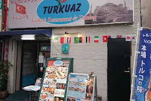Turkuaz image