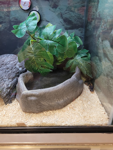 Pet Supply Store «Petco Animal Supplies», reviews and photos, 1401 E Spring Valley Rd, Richardson, TX 75081, USA