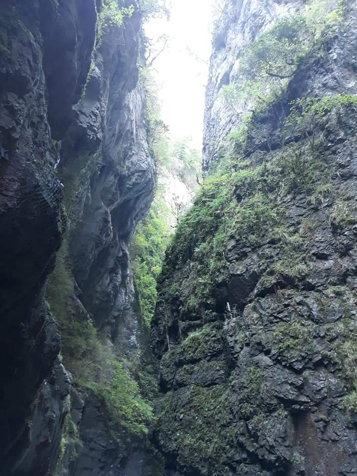 Photo n° 5 de l'avis de Cindy.e fait le 02/09/2018 à 12:00