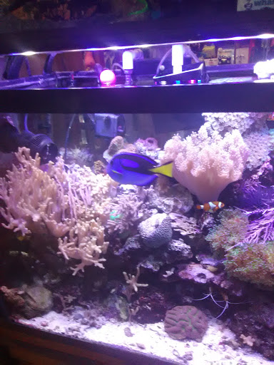 Pet Supply Store «Pet Station Jackson», reviews and photos, 1617 E Michigan Ave, Jackson, MI 49202, USA