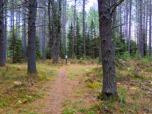 Awassa Trail