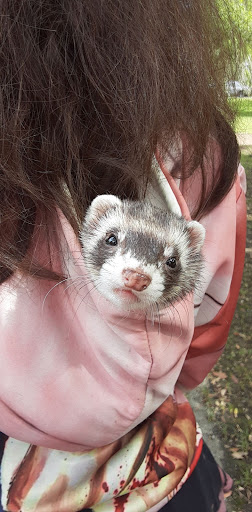 Pet Supply Store «Petco Animal Supplies», reviews and photos, 280 Kensington Blvd, Slidell, LA 70458, USA