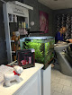 Salon de coiffure Salon de coiffure Reflets du Sud 34980 Montferrier-sur-Lez