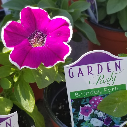 Florist «Dutch & Olgas Greenhouse», reviews and photos, 1285 NJ-36, Hazlet, NJ 07730, USA