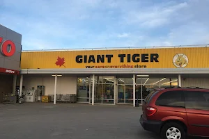 Giant Tiger image