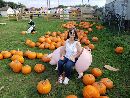 General Store «Country Junction», reviews and photos, 6565 Interchange Rd, Lehighton, PA 18235, USA