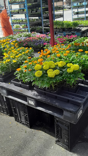 Produce Market «Parkway Produce», reviews and photos, 2601 Preston Hwy, Louisville, KY 40217, USA