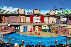 Sea Lion Amphitheater