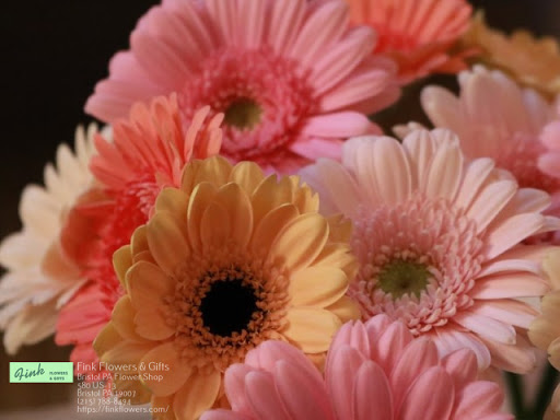 Florist «Fink Flowers & Gifts», reviews and photos, 580 US-13, Bristol, PA 19007, USA