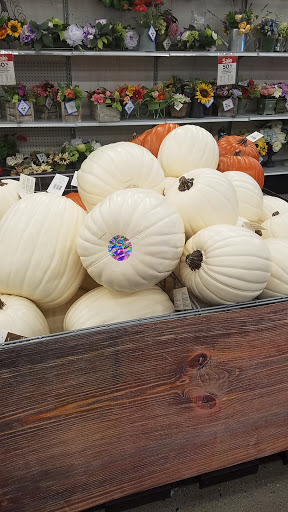 Craft Store «Michaels», reviews and photos, 1255 Raritan Rd #130, Clark, NJ 07066, USA