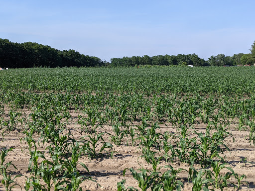 Farm «Giamarese Farm & Orchards», reviews and photos, 155 Fresh Ponds Rd, East Brunswick, NJ 08816, USA