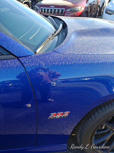 Car Dealer «Car City Motor Co», reviews and photos