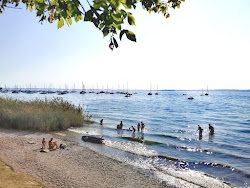Spiaggia di Bardolino'in fotoğrafı imkanlar alanı