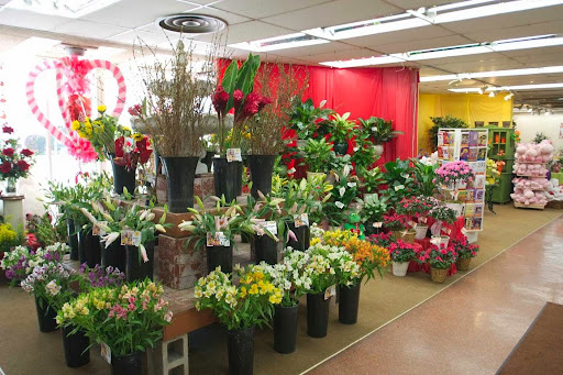 Visser's Florist & Greenhouses