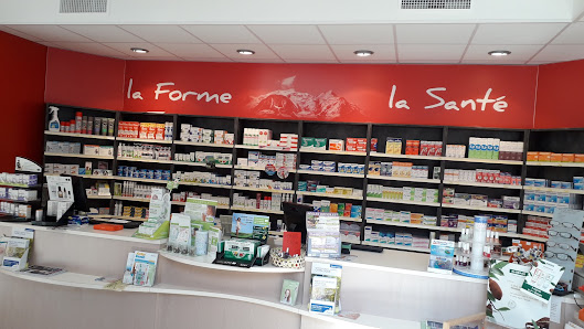 Pharmacie de l'Armançon 81 Grande Rue, 89160 Ancy-le-Franc, France