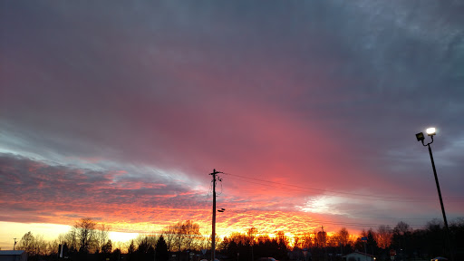 Home Goods Store «Dollar General», reviews and photos, 13327 Evgeny Dr, Dillsboro, IN 47018, USA