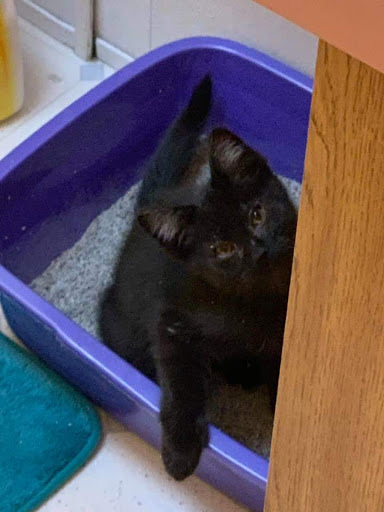 Pet Store «Animart», reviews and photos, 4303 E Towne Way, Madison, WI 53704, USA