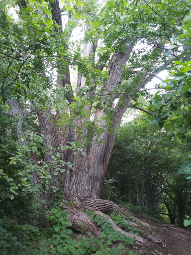 Park «Valley View Park», reviews and photos, 5575 Ozark Avenue North, Oak Park Heights, MN 55082, USA